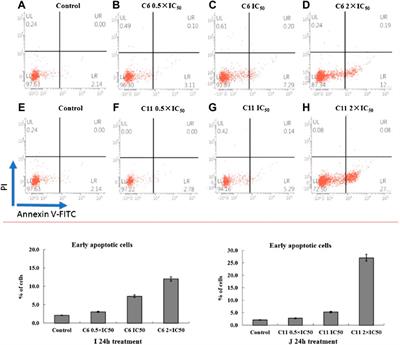 Diarylamine-Guided Carboxamide Derivatives: Synthesis, Biological Evaluation, and Potential Mechanism of Action